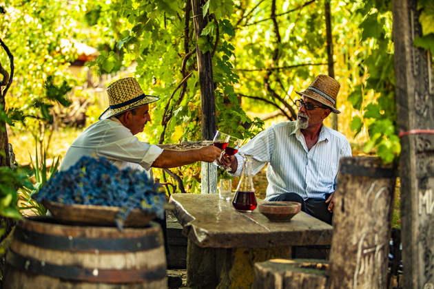 selski-turizam-i-gastronomsko-uzivanje-vo-srbija-poznata-destinacija-novo-iskustvo-11.jpg