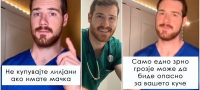 veterinar-spodeluva-edukativni-videa-na-tiktok-so-soveti-i-trikovi-za-grizha-na-milenici-povekje.jpg