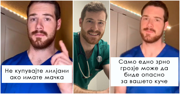 veterinar-spodeluva-edukativni-videa-na-tiktok-so-soveti-i-trikovi-za-grizha-na-milenici01.jpg