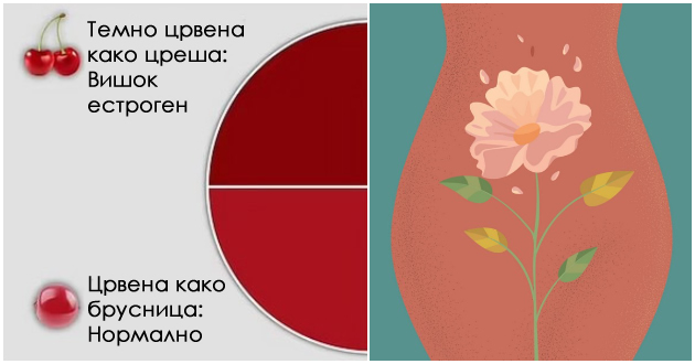ekspert-pravi-sporedba-so-ovoshje-kako-da-poznaete-dali-menstrualnata-krv-ima-normalna-boja-01.jpg