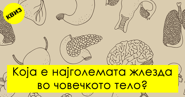 kviz-samo-za-eksperti-po-anatomija-kolku-prashanja-kje-odgovorite-tochno-01.jpg