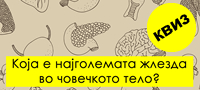 kviz-samo-za-eksperti-po-anatomija-kolku-prashanja-kje-odgovorite-tochno-povekje.jpg