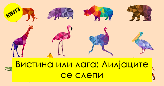 kviz-so-tochno-netochno-koi-fakti-za-zhivotnite-se-vistina-a-koi-laga-01.jpg