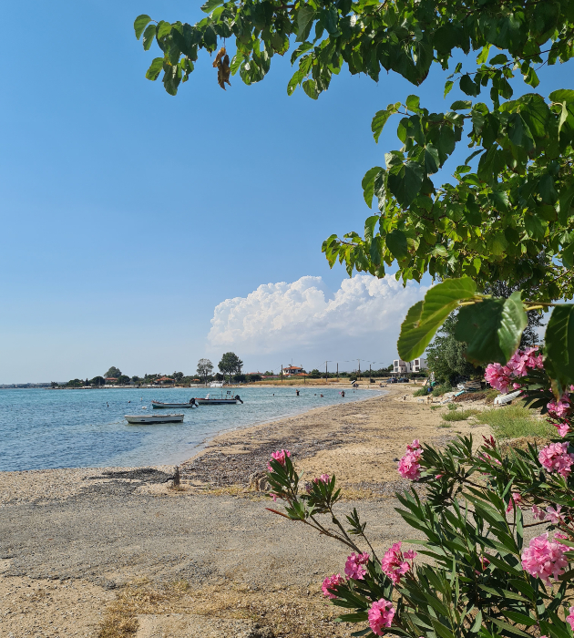 nea plagia i nea flogita grcki destinacii kade sto ke se odmorite 1