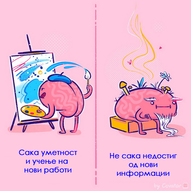 shto-saka-vs-shto-ne-saka-vashiot-mozok-niz-ilustracii-07.jpg