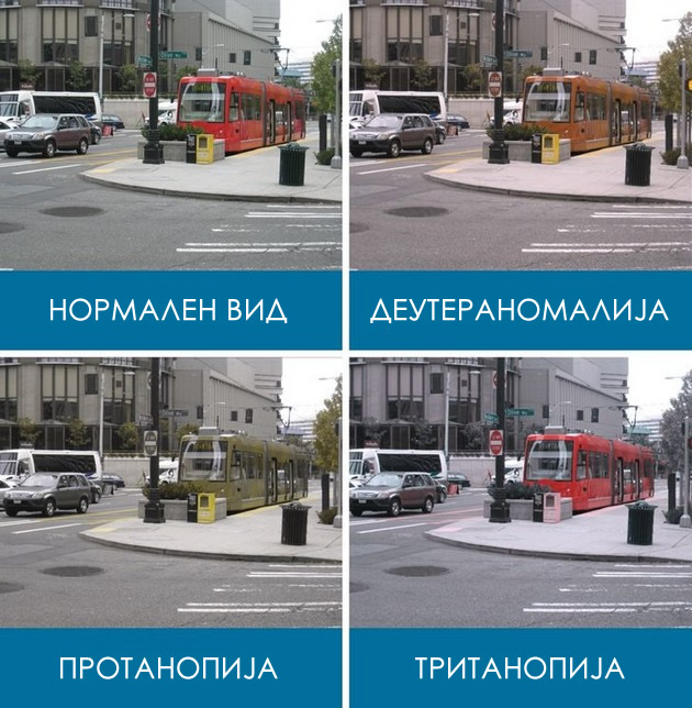 zabavni-foto-sporedbi-kako-gledaat-lugjeto-so-razni-vidovi-daltonizam-10.jpg