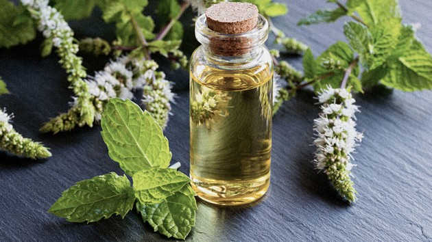 8-domashni-produkti-koi-se-efikasni-protiv-ubodi-od-insekti-02.JPG