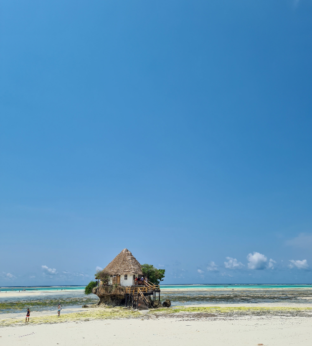 nie ne ja birame destinacijata tuku taa ne bira nas zanzibar avanturata prodolzuva 4