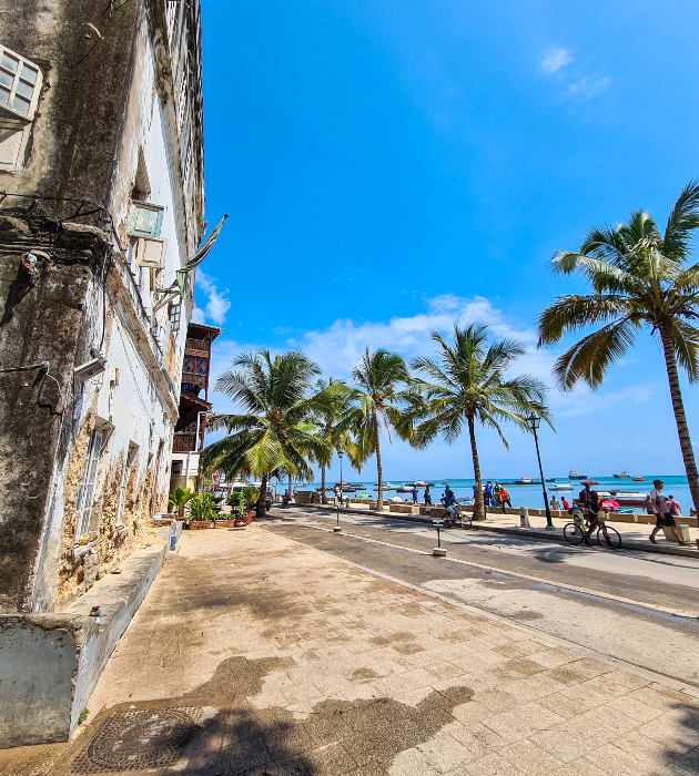 zanzibar prijatni lokalci zelki stari i po 100 godini djungla so zacini i indiski okean 6 copy