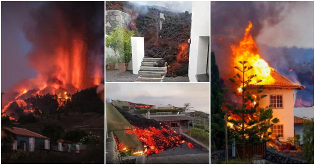 lavata-progolta-nad-100-kukji-mornichavi-sceni-na-kanarskite-ostrovi-po-erupcijata-na-vulkan-foto-video-01.jpg