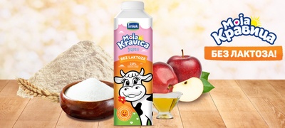 mrzliva-pita-so-bezlaktozen-jogurt-lesen-desert-za-digestivniot-sistem-povekje.jpg