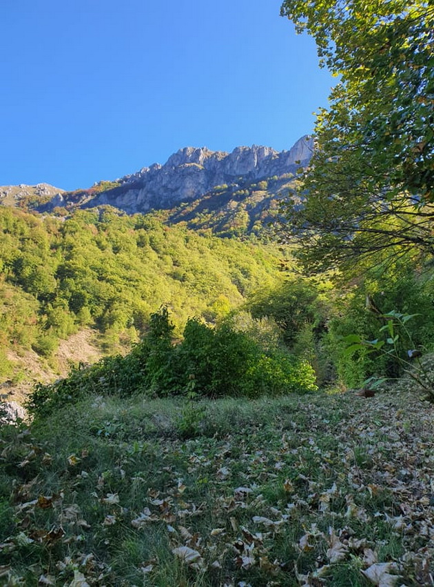 na-gosti-kaj-marina-dojchinovska-terasa-so-sovrshen-pogled-vo-semejna-kukja-vo-seloto-gari-foto-21.jpg