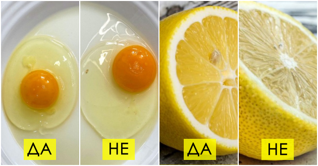 pileshko-limoni-pavlaka-kako-da-odredite-dali-hranata-e-svezha-i-dobra-za-jadenje-01.jpg