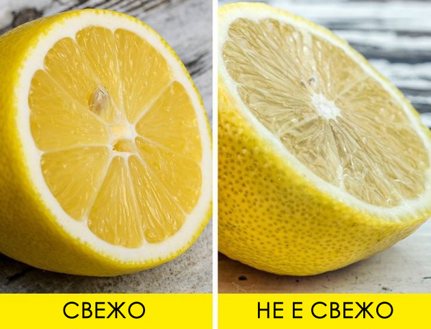 pileshko-limoni-pavlaka-kako-da-odredite-dali-hranata-e-svezha-i-dobra-za-jadenje-09.jpg