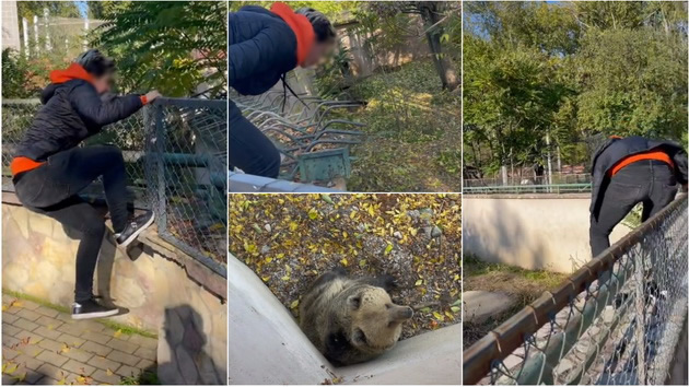 poteg-za-osuda-devojka-vo-skopje-zoo-se-prekachuva-preku-ograda-kaj-mechkite-01.jpg