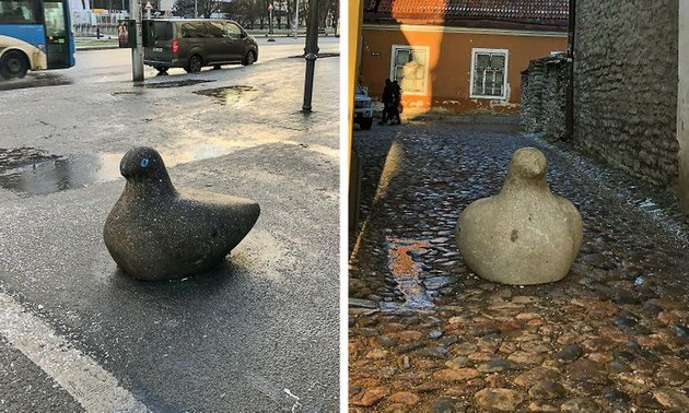 besplatna-teretana-na-aerodromot-nadrealni-pejzazhi-fotografii-shto-pokazhuvaat-deka-estonija-e-prekrasna-zemja-09.jpg