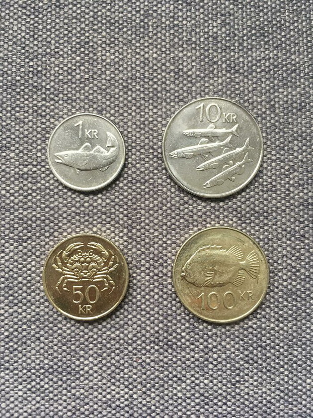 moneti-so-ribi-vinozhita-nasekade-20-foto-dokazi-deka-island-e-magichna-zemja-15.jpg