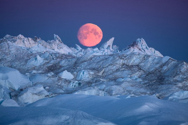 nadrealna-gletka-zamrznat-fjord-vo-grenland-so-mnogu-glecheri-koj-e-zashtiten-od-unesko-foto-10.jpg