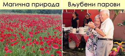 nedogledni-polinja-bulki-vo-makedonija-i-ushte-8-fotografii-shto-kje-vi-napravat-ubavo-na-dushata-01povekje.jpg