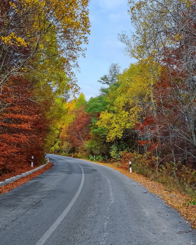 ponikva-e-kako-scena-od-najubavata-esenska-bajka-foto-03.jpg