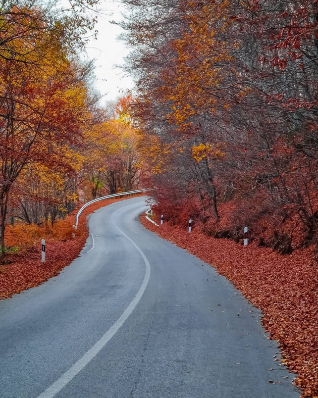 ponikva-e-kako-scena-od-najubavata-esenska-bajka-foto-05.jpg