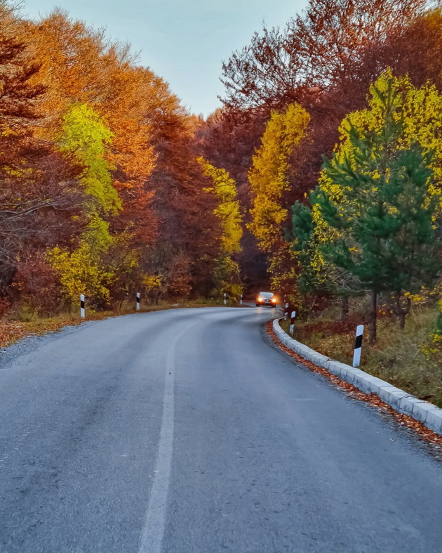 ponikva-e-kako-scena-od-najubavata-esenska-bajka-foto-07.jpg