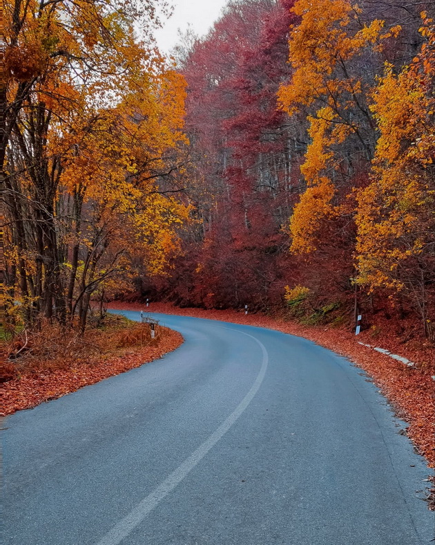 ponikva-e-kako-scena-od-najubavata-esenska-bajka-foto-09.jpg