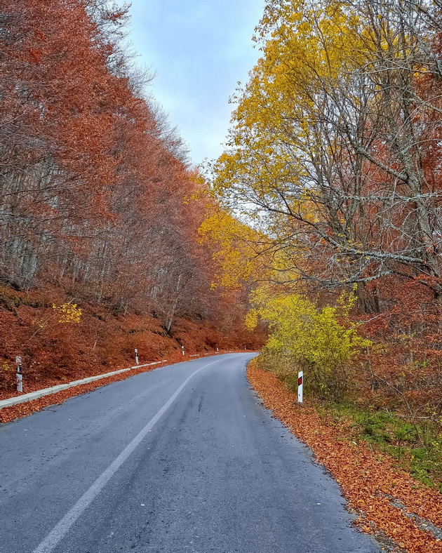 ponikva-e-kako-scena-od-najubavata-esenska-bajka-foto-10.jpg