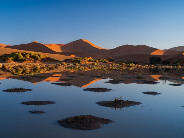 pustina-vo-namibija-pretvorena-vo-oaza-po-neochekuvan-obilen-dozhd-foto-02.jpg