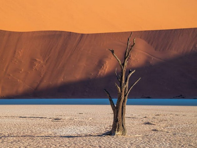 pustina-vo-namibija-pretvorena-vo-oaza-po-neochekuvan-obilen-dozhd-foto-14.jpg