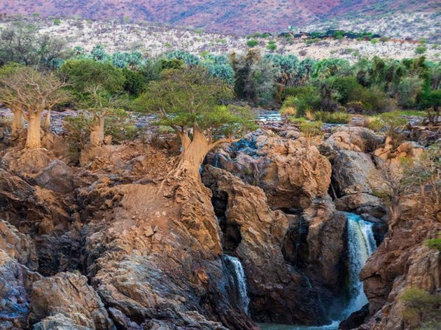 pustina-vo-namibija-pretvorena-vo-oaza-po-neochekuvan-obilen-dozhd-foto-18.jpg