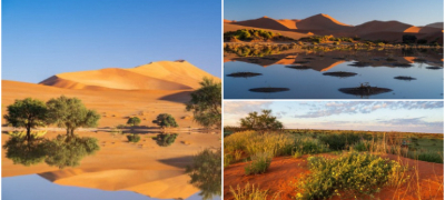 pustinite-vo-namibija-pretvoreni-vo-oazi-po-neochekuvan-obilen-dozhd-foto--повекје.jpg