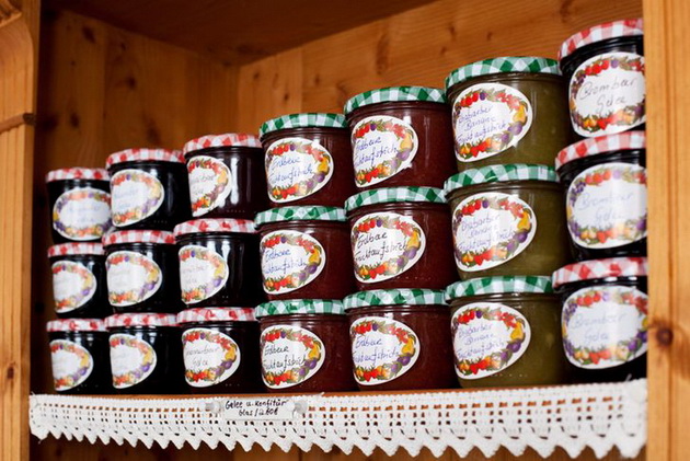 sadovi-koi-ne-e-pametno-da-gi-perete-vo-mashina-inaku-ke-se-zboguvate-so-niv-02.jpg