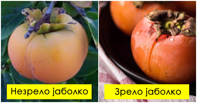 zoshto-zelenite-japonski-jabolka-ja-sobiraat-ustata-i-kako-da-poznaete-koga-mozhe-da-se-jadat-01.jpg