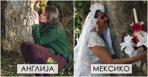 anglichanka-se-venchala-so-drvo-za-da-go-zashtiti-od-sechenje-kakvi-se-ovie-brakovi-i-kade-se-smetaat-za-tradicija-01.jpg