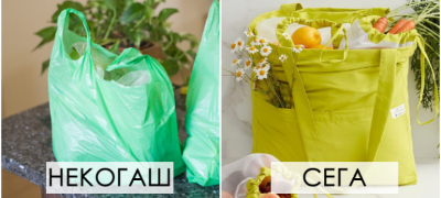 odluchiv-da-namalam-so-koristenjeto-plastika-vo-sekojdnevniot-zhivot-shto-zakluchiv-POVEKJE.jpg