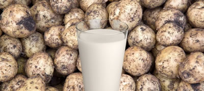 pozdravo-od-kokosovo-i-bademovo-kako-sami-da-napravite-mleko-od-kompir-povekje.jpg