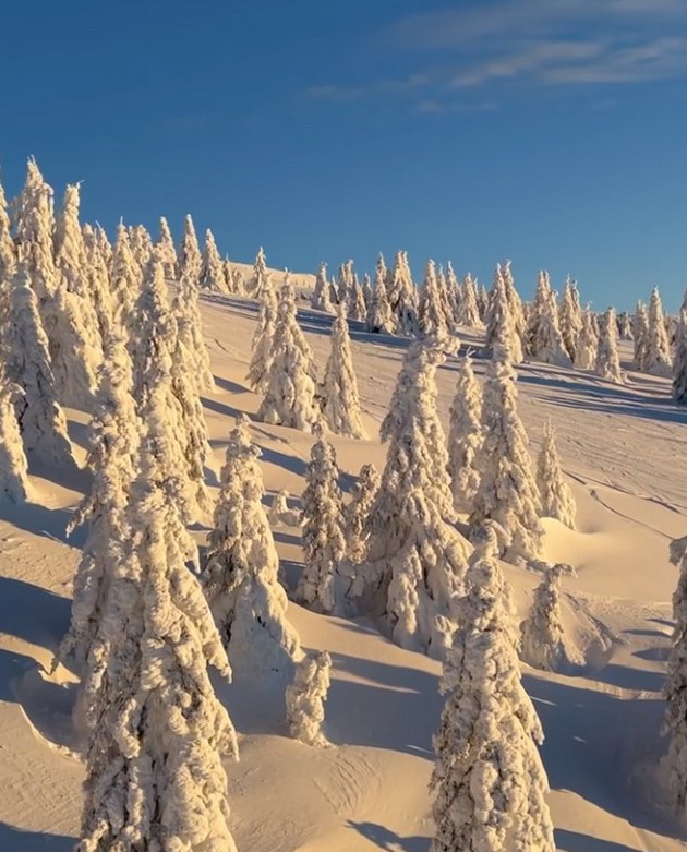 viktorija-loba-so-partnerot-na-skijanje-na-kopaonik-foto-06.jpg