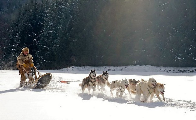 brakovite-se-dogovoreni-no-i-neophodni-za-prezhivuvanje-zabavni-fakti-za-inuitite-06.jpg