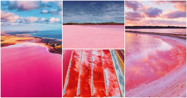 rozovo-ezero-vo-avstralija-izgleda-kako-apstraktno-umetnichko-delo-foto01.jpg
