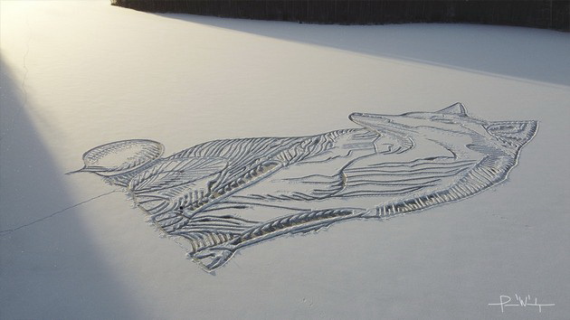 zimska-umetnost-artist-nacrtal-ogromna-lisica-na-zamrznato-ezero-koristejkji-samo-lopata-i-negovite-noze-foto-03.jpg