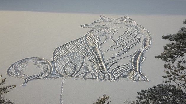 zimska-umetnost-artist-nacrtal-ogromna-lisica-na-zamrznato-ezero-koristejkji-samo-lopata-i-negovite-noze-foto-07.jpg