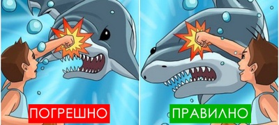 7-mitovi-za-prezhivuvanje-poradi-koi-mozhete-da-si-nashtetite-na-zdravjeto-povekje.jpg
