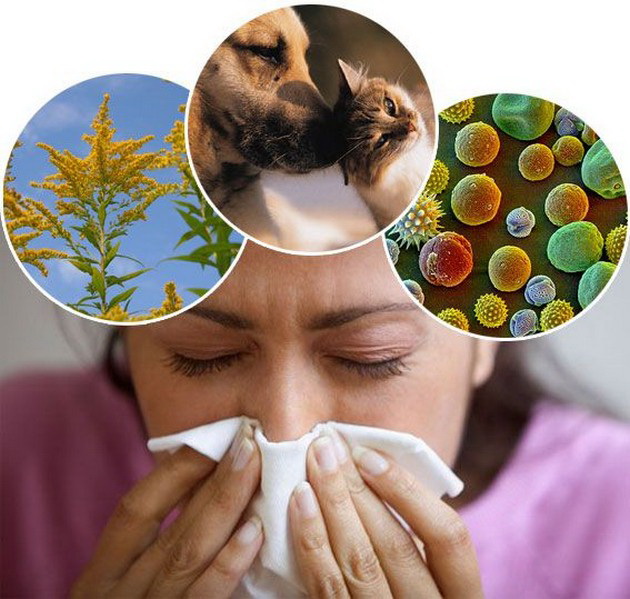 kako-da-gi-smirite-alergiite-i-da-ja-sprechite-nivnata-pojava-04.jpg