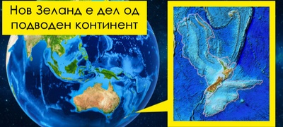 polarnite-mechki-se-nevidlivi-za-infracrvena-kamera-fakti-za-svetot-okolu-nas-koi-kje-vi-zvuchat-lazhno-povekje.jpg
