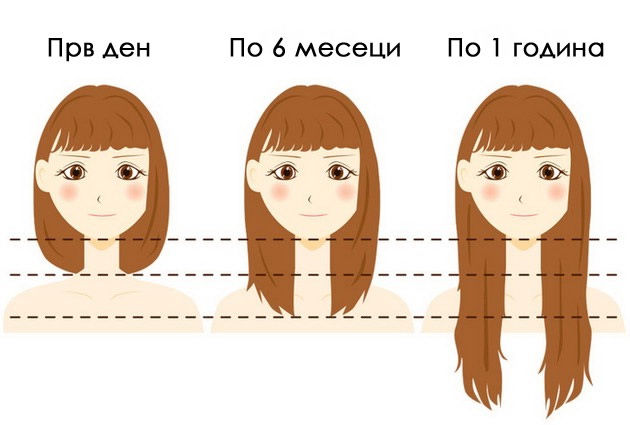 mozhe-da-izdrzhi-tezhina-od-10-toni-zabavni-fakti-za-kosata-shto-sigurno-ne-gi-znaevte-07.jpg