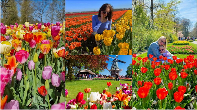 rajot-na-lalinjata-se-naogja-vo-gradinata-keukenhof-vo-holandija-foto-01.jpg