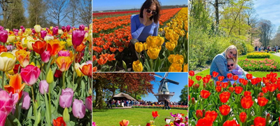 rajot-na-lalinjata-se-naogja-vo-gradinata-keukenhof-vo-holandija-foto-01povekje.jpg