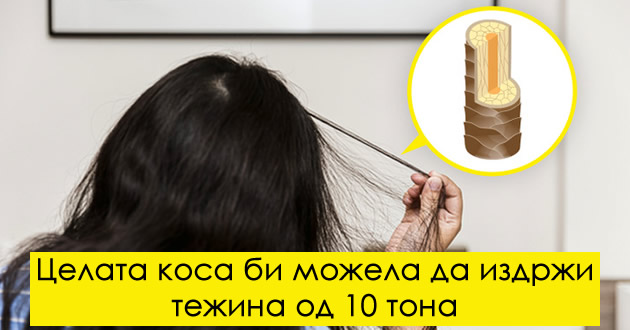 sostavena-e-od-mrtvi-kletki-i-ushte-6-zabavni-fakti-za-kosata-shto-sigurno-ne-gi-znaevte-01.jpg