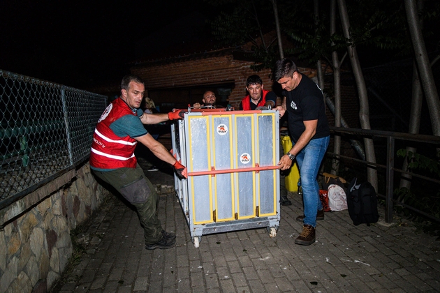 dve-mechki-od-skopje-zoo-isprateni-vo-rezervat-vo-shvajcarija-ostanatite-dve-kje-dobijat-pogolemo-i-poubavo-zhivealishte-foto11.jpg